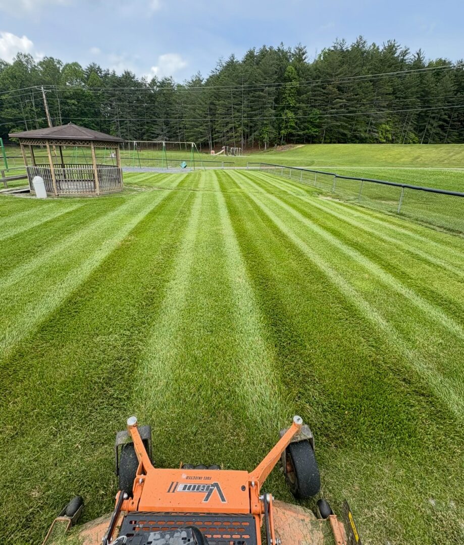 Lawn mower creating striped grass pattern.