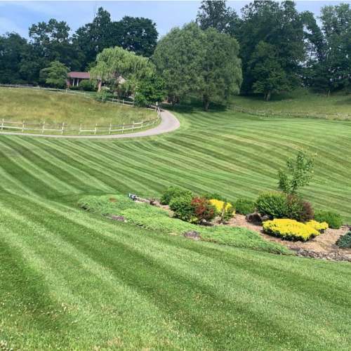 Lawn Care