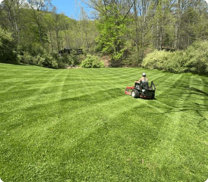 Man riding mower in sunny yard
